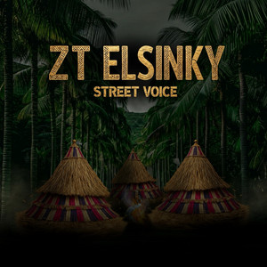 STREET VOICE by ZT Elsinky