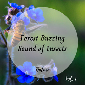 Nature: Forest Buzzing Sound of Insects Vol. 1 album