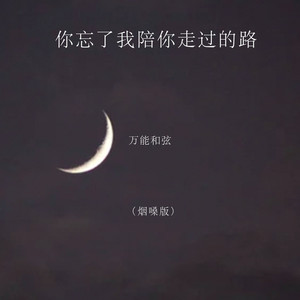 你忘了我陪你走过的路 - 烟嗓版 by 万能和弦