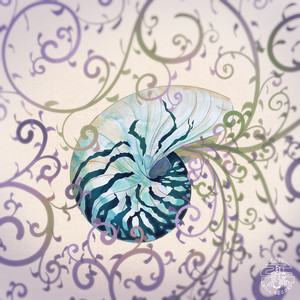 Nautilus by BƱBBLE, Nuncc, GaetDown