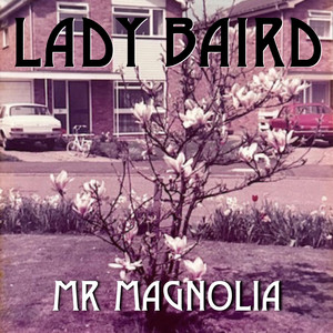 Mr Magnolia by LADY BAIRD
