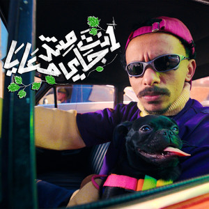 كزبره - انت مش جي معايا