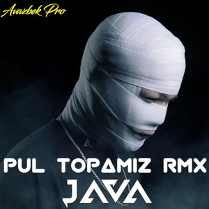 Pul topamiz