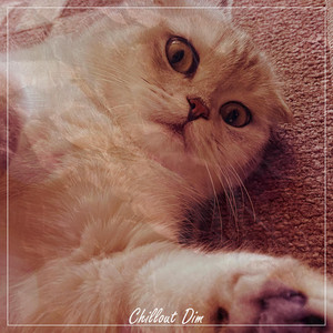 Обкладинка: Cute Cat