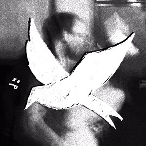 LOSING TIME by BIRDS AT NITE