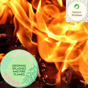 Fire of Sizzles and Crackles