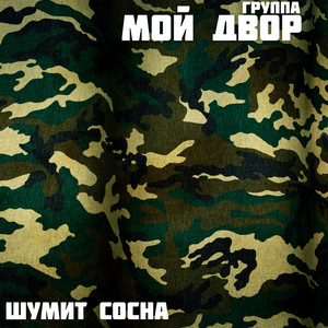 Шумит сосна by Группа Мой Двор