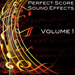 Airport Pre-Boarding Announcement Sound Effect by Noah Smith