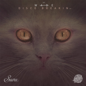Disco Breakin by Wade