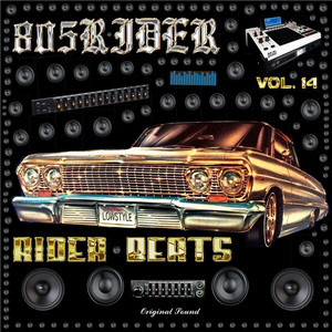 Rider Beats Vol. 14