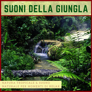 Ruscello nella Foresta by Kojo Iyanya