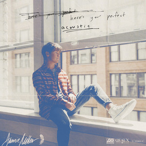 Here's Your Perfect - Acoustic by Jamie Miller