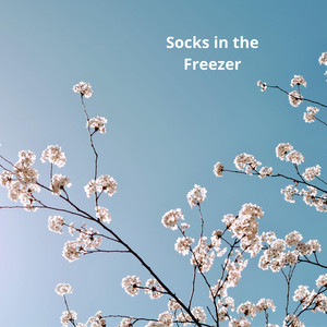 Socks in the Freezer by Yazilome