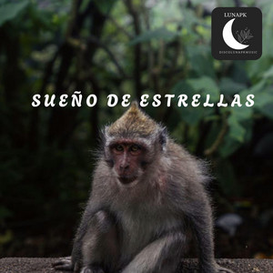 Sueño de Estrellas by LunaPK