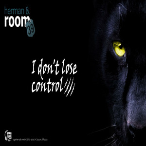 I Don't Lose Control - Ricky Rocco Remix by Herman, Room 39, Armando Saccon