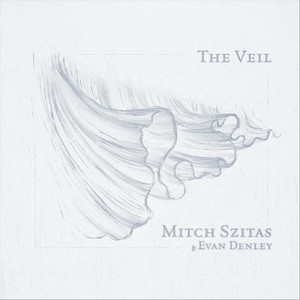 The Veil by Mitch Szitas, Evan Denley