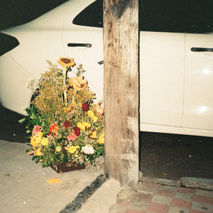 Night Sunflower by Thymes, Jackcem