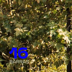 16 BARRAS by CHARPI MC