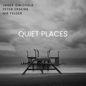 Because You Never Asked by Janek Gwizdala, Peter Erskine, Nir Felder