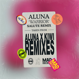 Warrior (salute Remix) cover art