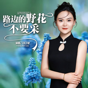 路边的野花不要采 - Dj阿能版 by 闫辽艳, 髕遼艷