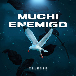 Muchi Enemigo by Xeleste