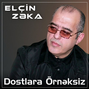 Elcin Zeka - Dostlara Örnəksiz