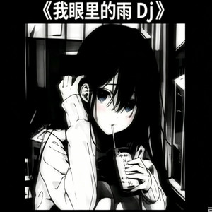 我眼里的雨 Dj ｜Dj 冰块 完整版｜ by 冰块-Dj ice