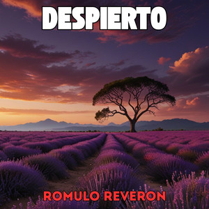 Despierto by Romulo Reveron