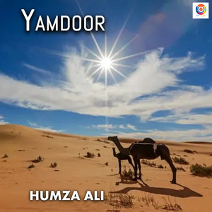 Humza Ali - Yamdoor