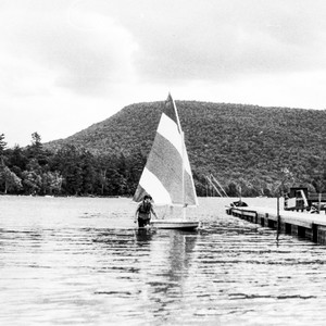sunfish.