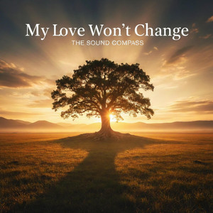 My Love Won't Change by The Sound Compass