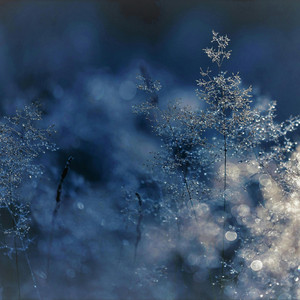 Sanene by Aiter trey