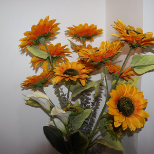 Nkwain Sam - Pull Up Di Vibe