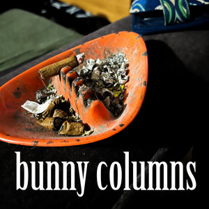 Matty Light - bunny columns (feat. [DREAD])