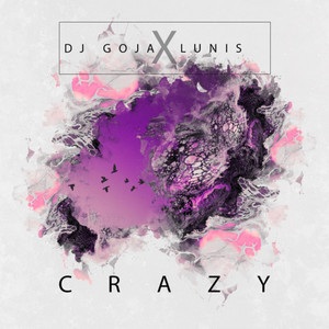 DJ Goja - Crazy