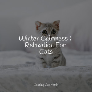 Winter Calmness & Relaxation For Cats album