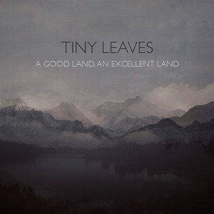 Minuet by Tiny Leaves
