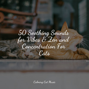 50 Soothing Sounds for Vibes & Zen and Concentration For Cats album