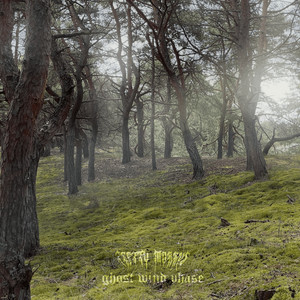 Обкладинка: ghost wind phase