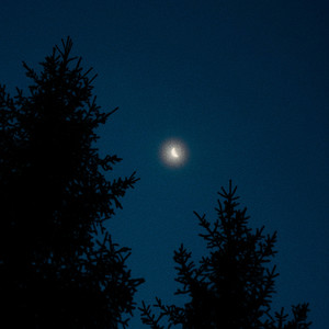 dear moon