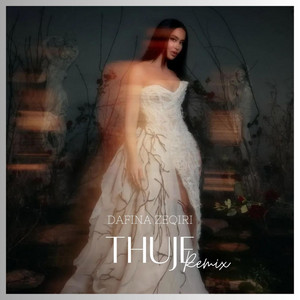 Dafina Zeqiri - Thuje (Remix) by Binnay