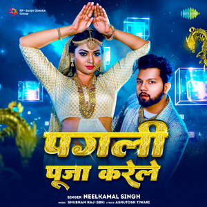 Neelkamal Singh - Pagli Puja Karele (Lofi)