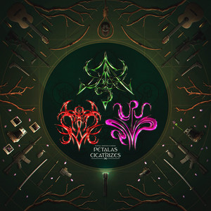 Pétalas e Cicatrizes by Raphyx, Chrono Rapper, Shooter_sz