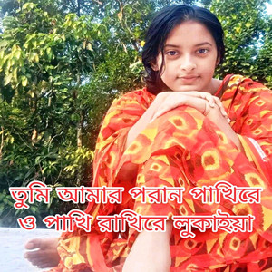 Akram - তুমি আমার পরান পাখিরে ও পাখি রাখিরে লুকাইয়া