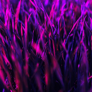 MYLO BONE - Grim Reaper