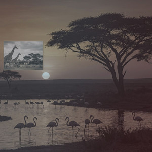 Breath of Ancient Light by Patrick Bernard, Beautiful World, Enam
