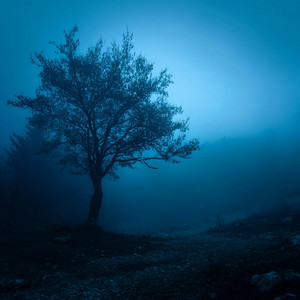 time goes by too fast by iris