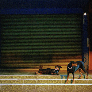 Knight In Shining Prada cover art