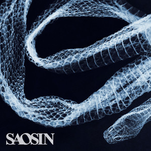 Saosin ‑「アルバム」by セイオシン | Spotify
